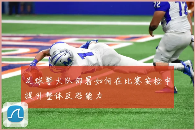 足球警犬队部署如何在比赛安检中提升整体反恐能力