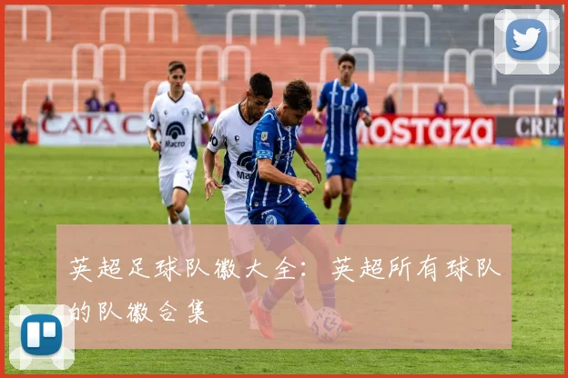 英超足球队徽大全：英超所有球队的队徽合集